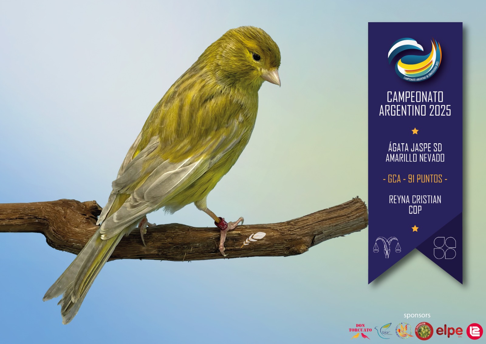 Agata jaspe sd amarillo nevado